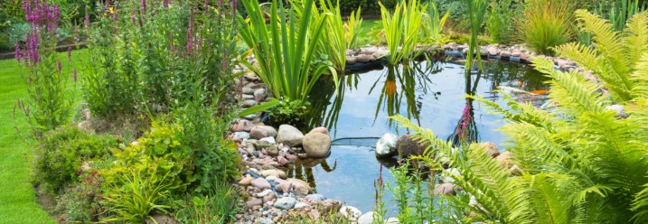 Blühender Gartenteich mit Seerosen
